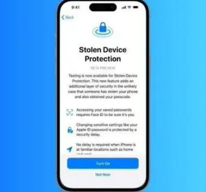 遂平苹果授权维修店分享被盗设备保护功能开启方法 