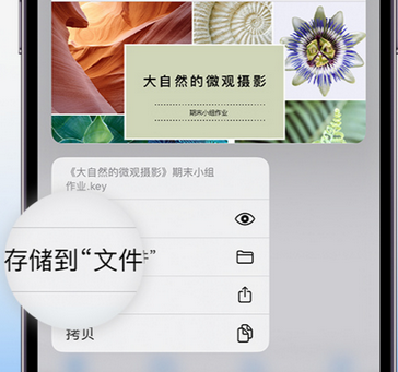 遂平apple维修中心分享iPhone文件应用中存储和找到下载文件