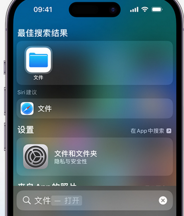 遂平apple维修中心分享iPhone文件应用中存储和找到下载文件 