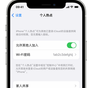 遂平apple服务站点分享iPhone上个人热点丢失了怎么办 