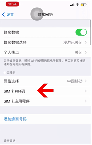 遂平苹果14维修网分享如何给iPhone14的SIM卡设置密码 