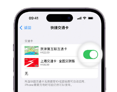 遂平apple维修点分享iPhone上更换Apple Pay快捷交通卡手绘卡面 