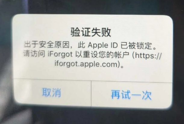 遂平iPhone维修分享iPhone上正常登录或使用AppleID怎么办 