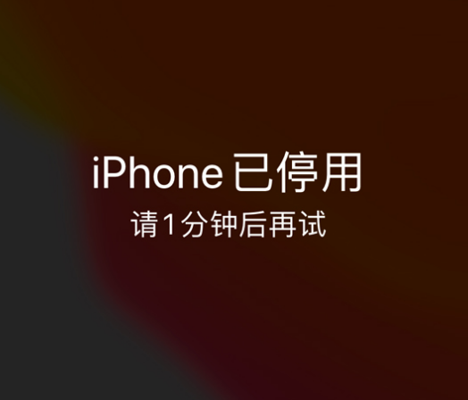 遂平苹果手机维修分享:iPhone 显示“不可用”或“已停用”怎么办？还能保留数据吗？ 