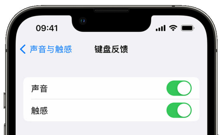 遂平苹果手机维修分享iPhone 14触感键盘使用方法 