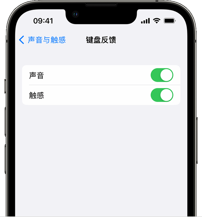 遂平苹果14维修店分享如何在 iPhone 14 机型中使用触感键盘 