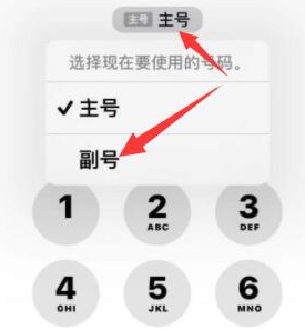 遂平苹果14维修店分享iPhone 14 Pro Max使用副卡打电话的方法 