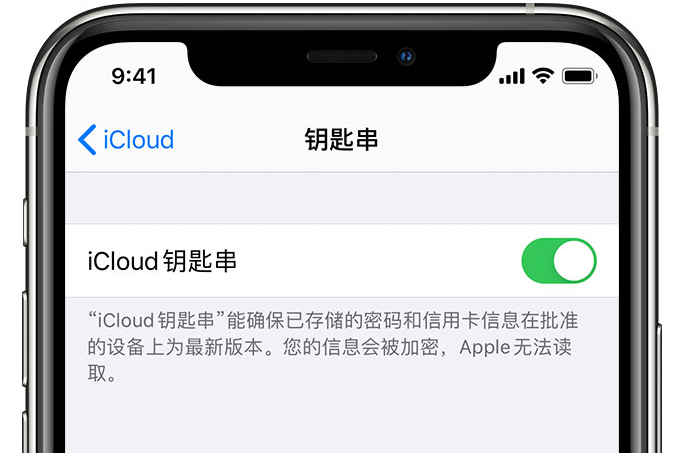 遂平苹果手机维修分享在 iPhone 上开启 iCloud 钥匙串之后会储存哪些信息 