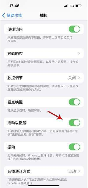 遂平苹果手机维修分享iPhone手机如何设置摇一摇删除文字 