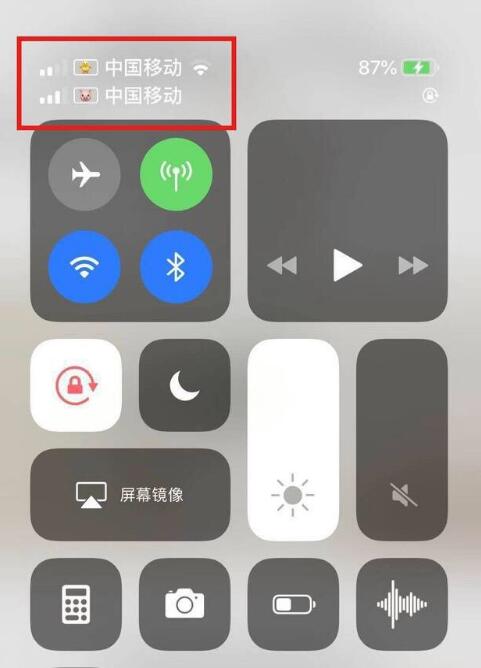遂平苹果手机维修分享为 iPhone 12 双卡设置标签 